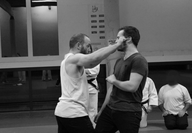 Judo Genlis les choses aux poings